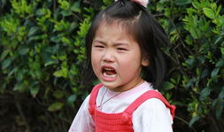 麻豆烦,揭秘网红经济背后的焦虑与挑战